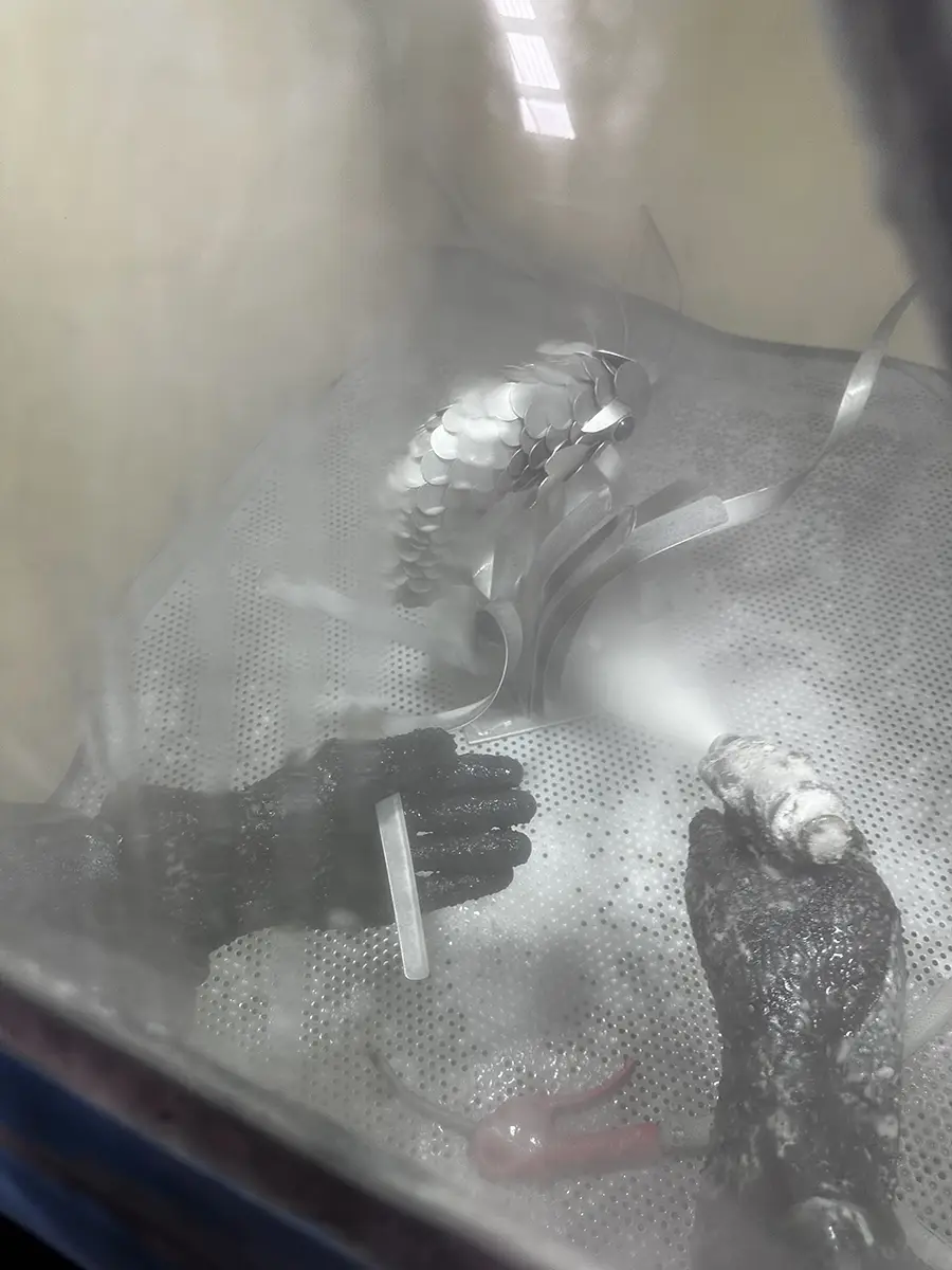 Chemical cleaning